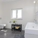 Four-bedroom In Suhovare